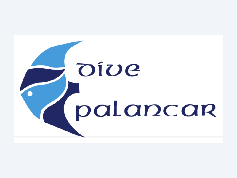 Dive Palancar Cozumel