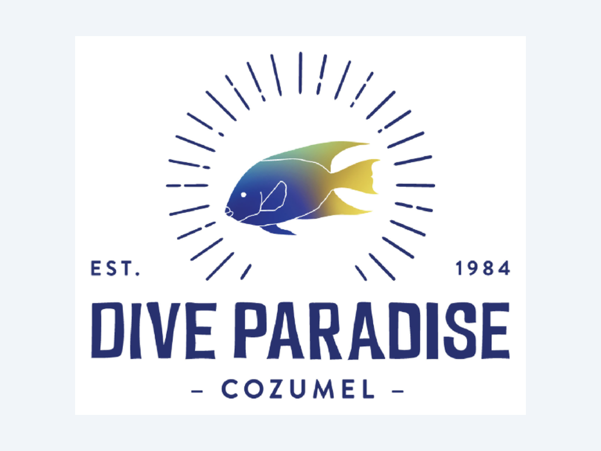 Dive Paradise Cozumel