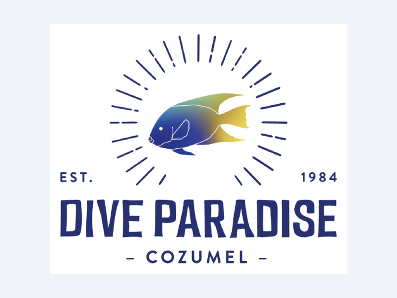 Dive Paradise Cozumel