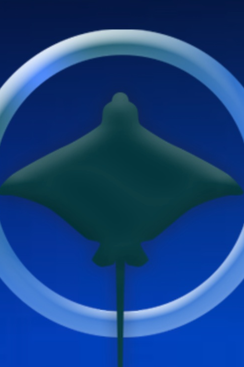 Eagle Ray Divers Cozumel