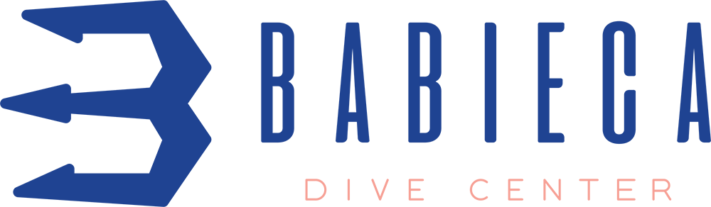 Babieca Dive Center dive center logo, Cozumel, Mexico