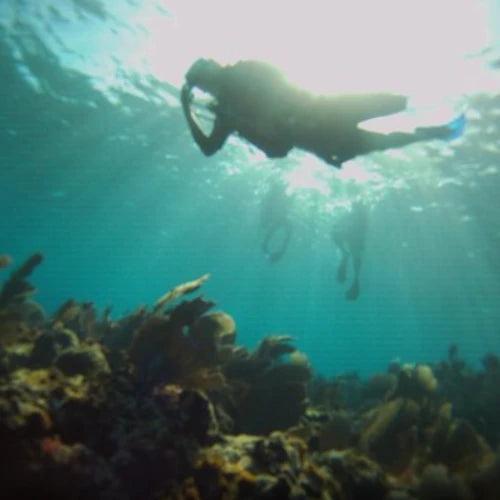 El Islote Reef Cozumel Dive Site dive site in Cozumel, Mexico — underwater reef photo