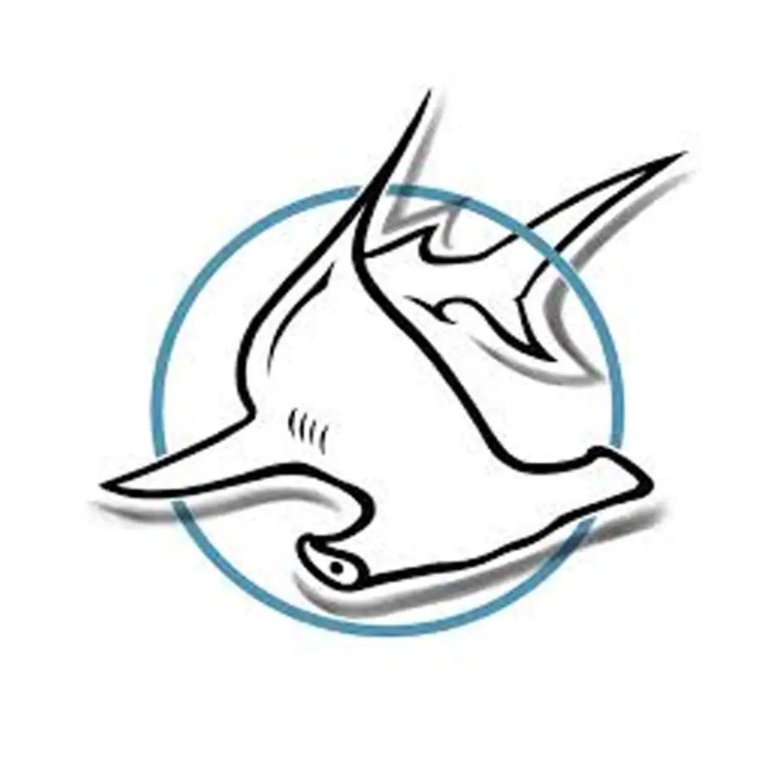 Hammer Head Diving & Snorkeling Cozumel logo