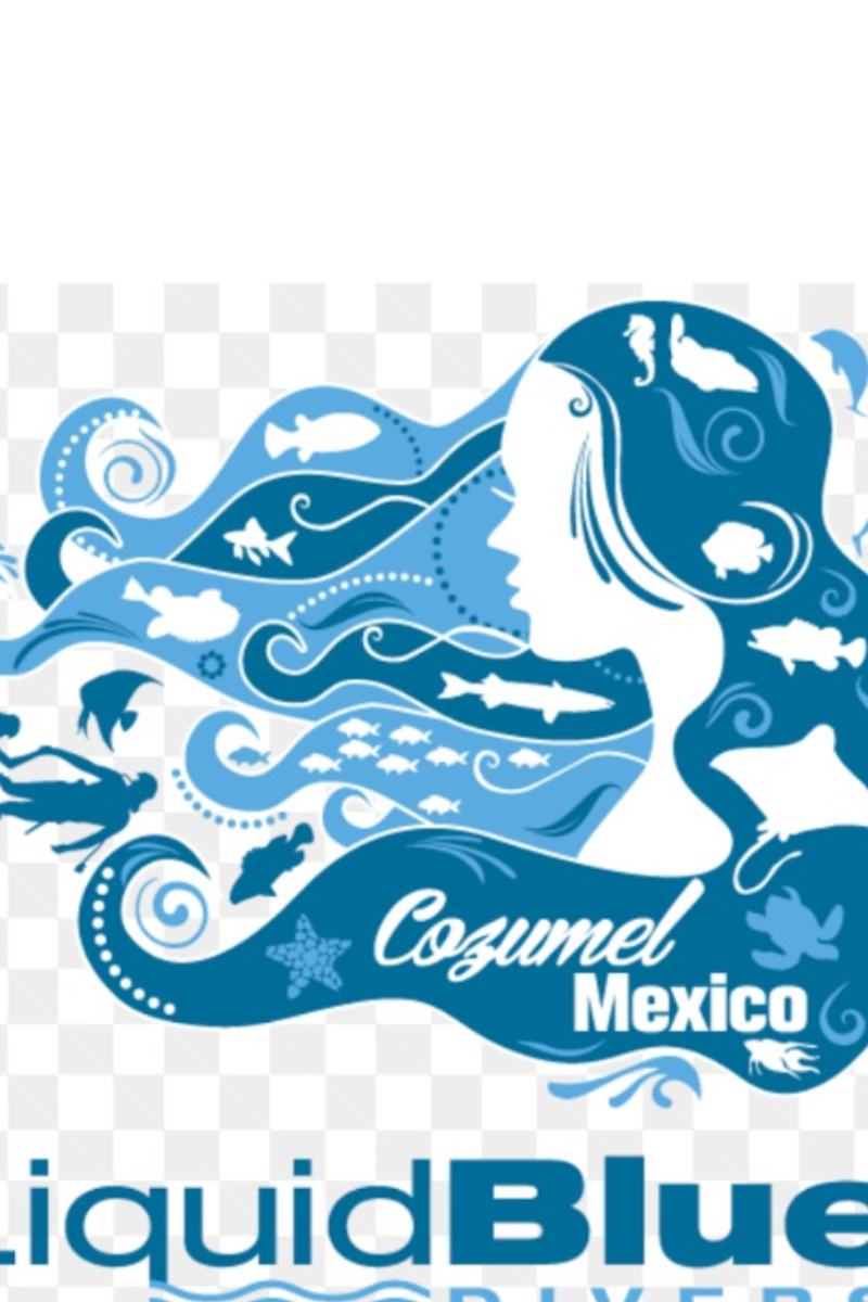 Liquid Blue Divers Cozumel