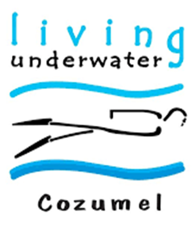 Living Underwater Cozumel
