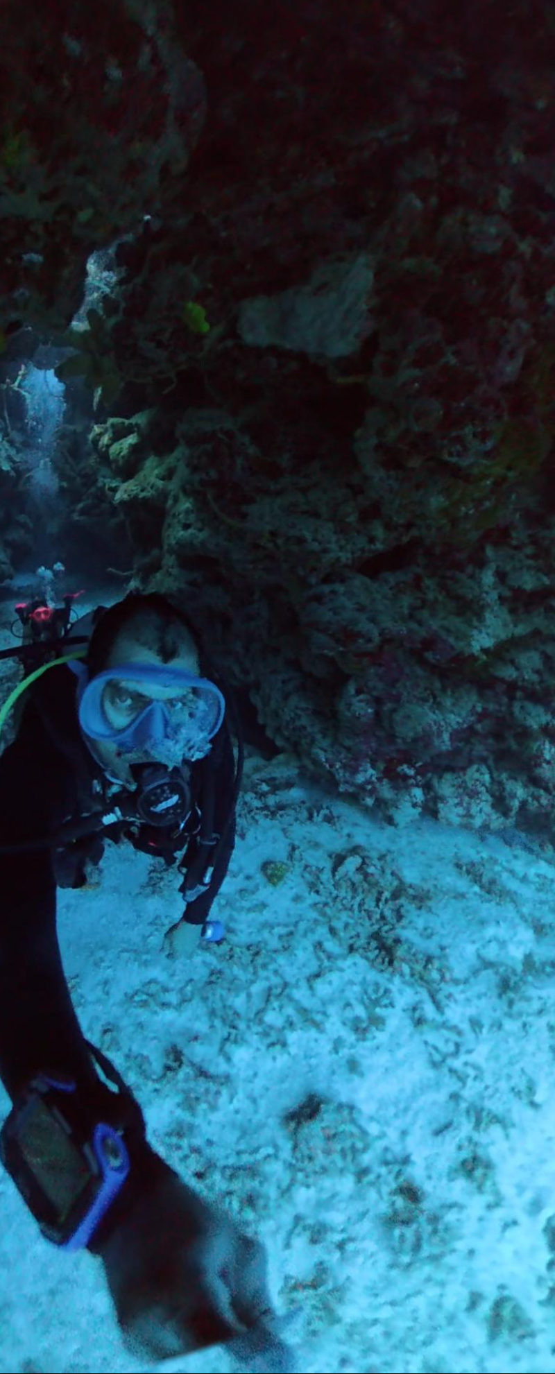 Octavio Silvestrus — freelance dive professional in Cozumel, Mexico — gallery photo