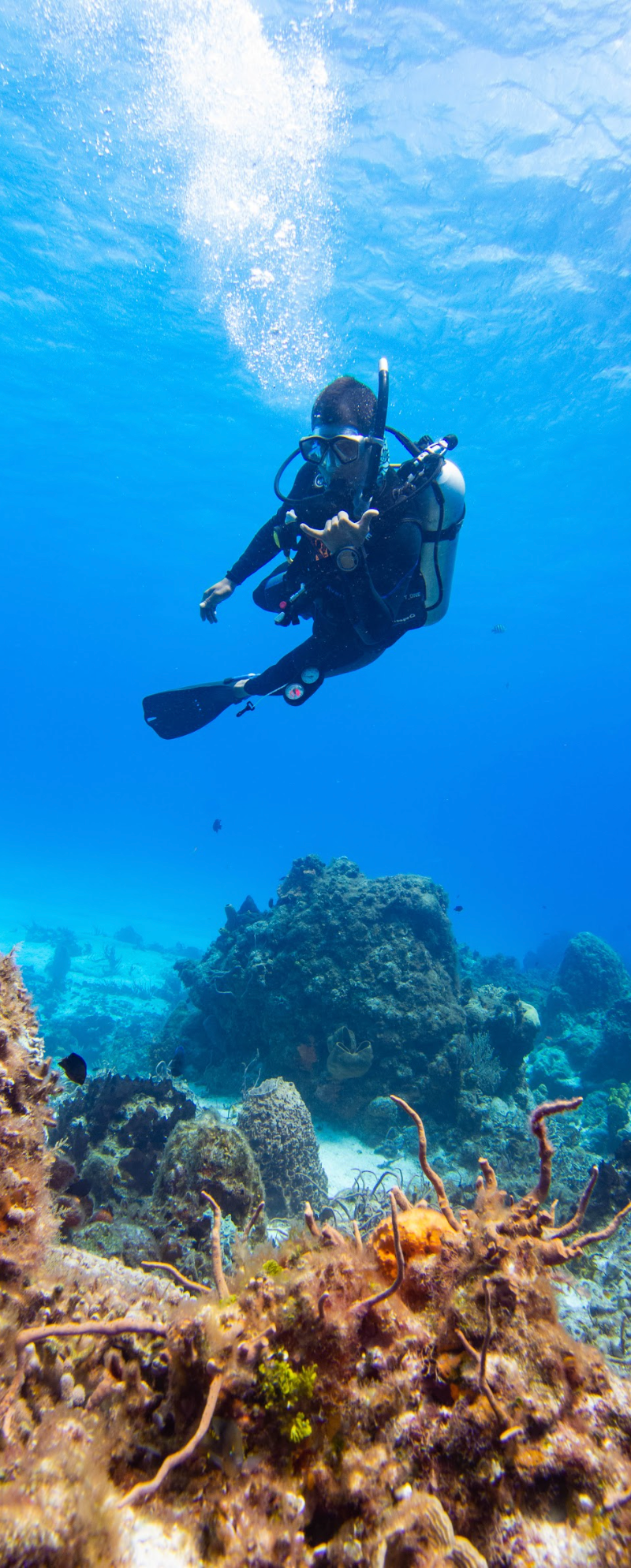 Octavio Silvestrus — freelance dive professional in Cozumel, Mexico — gallery photo