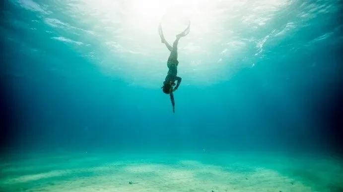 PADI Advanced Freediver Course in Cozumel — scuba training in Cozumel, Mexico