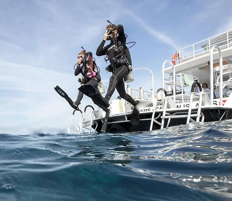 PADI Boat Diver Course in Cozumel