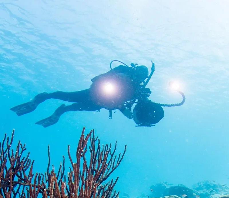 PADI Digital Underwater Photographer Course in Cozumel