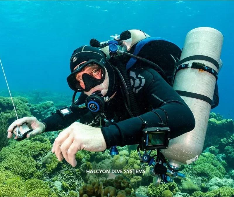 PADI Discover Technical Diving Experience in Cozumel