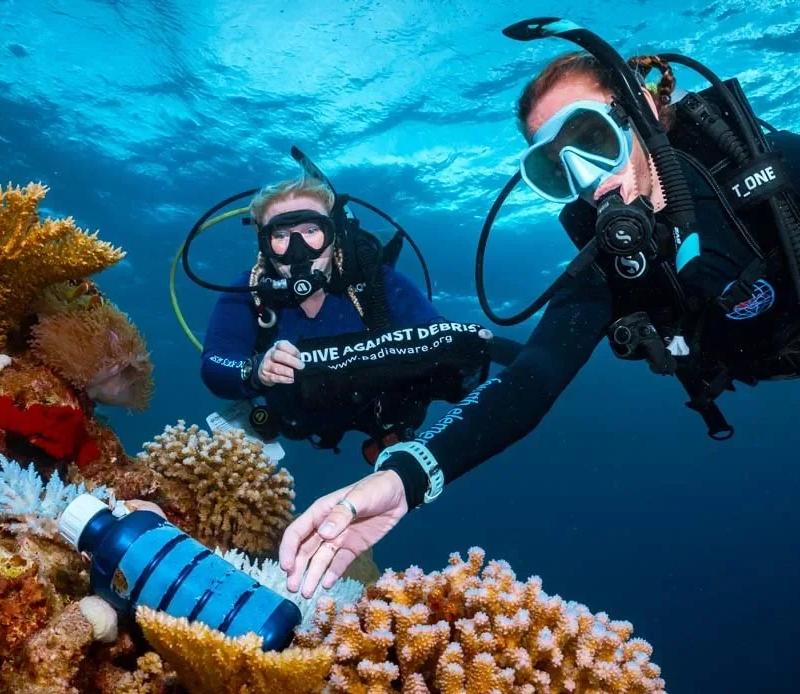 PADI AWARE Specialty Course in Cozumel