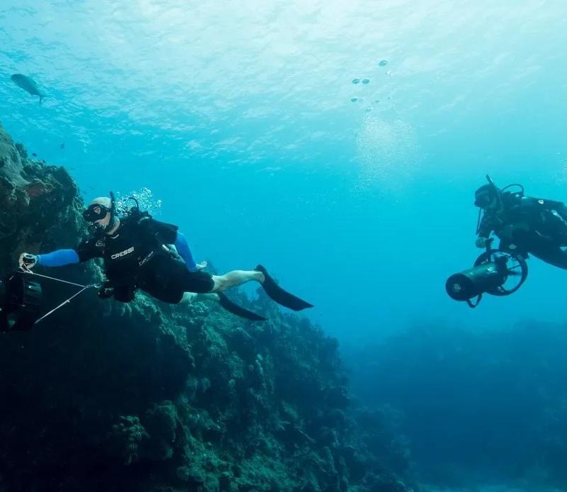 PADI Diver Propulsion Vehicle Course in Cozumel