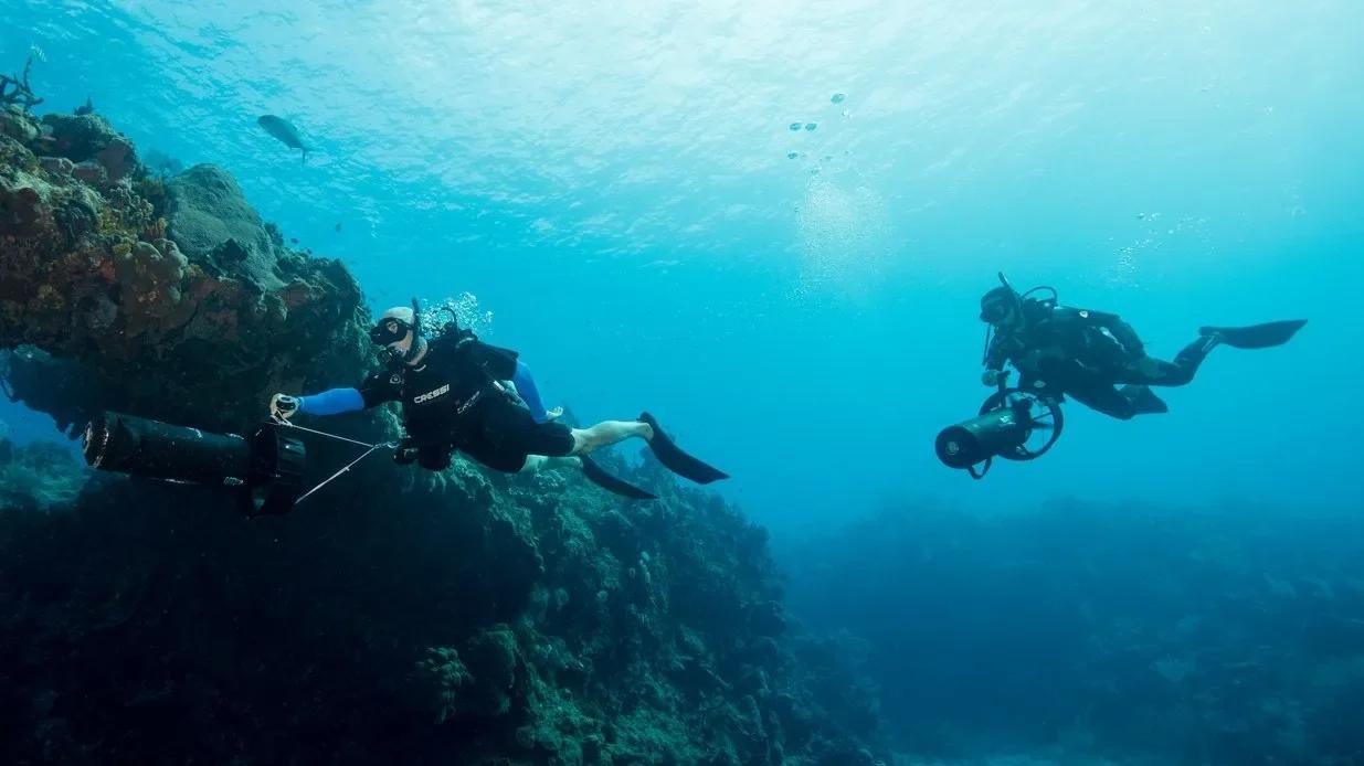 PADI Diver Propulsion Vehicle Course in Cozumel — scuba training in Cozumel, Mexico