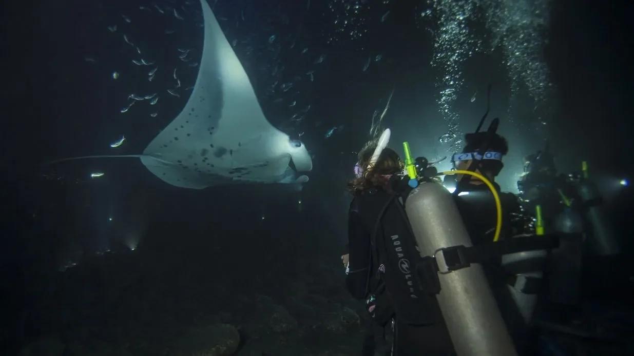 PADI Night Diver Course in Cozumel — scuba training in Cozumel, Mexico