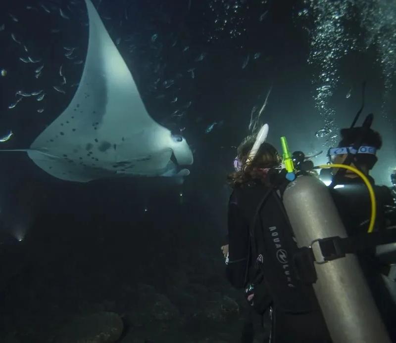PADI Night Diver Course in Cozumel