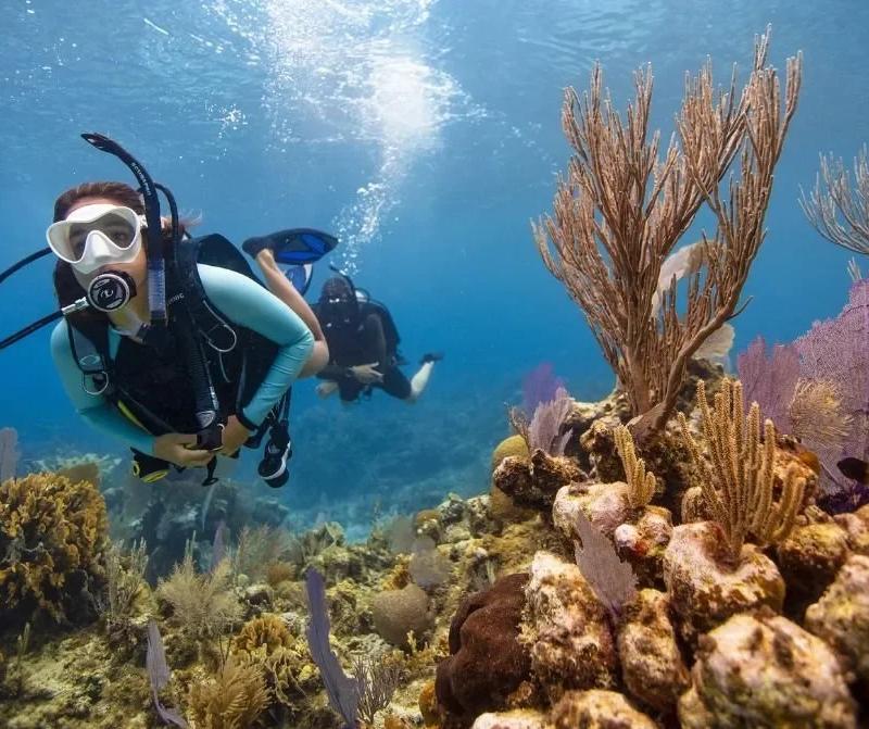 PADI Open Water Diver Certification Course in Cozumel