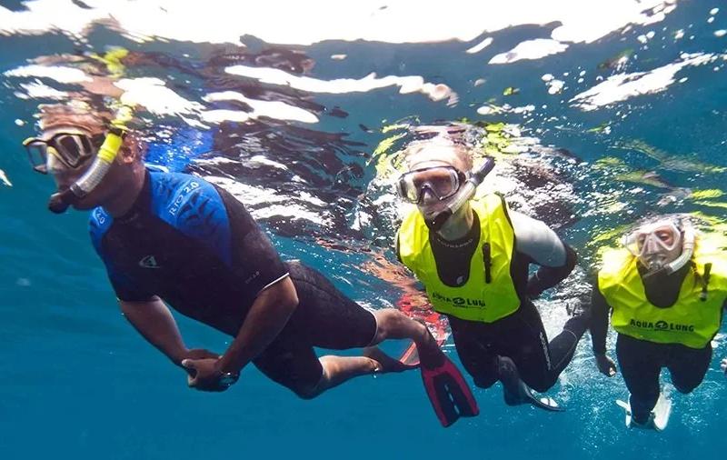 PADI Skin Diver Course in Cozumel