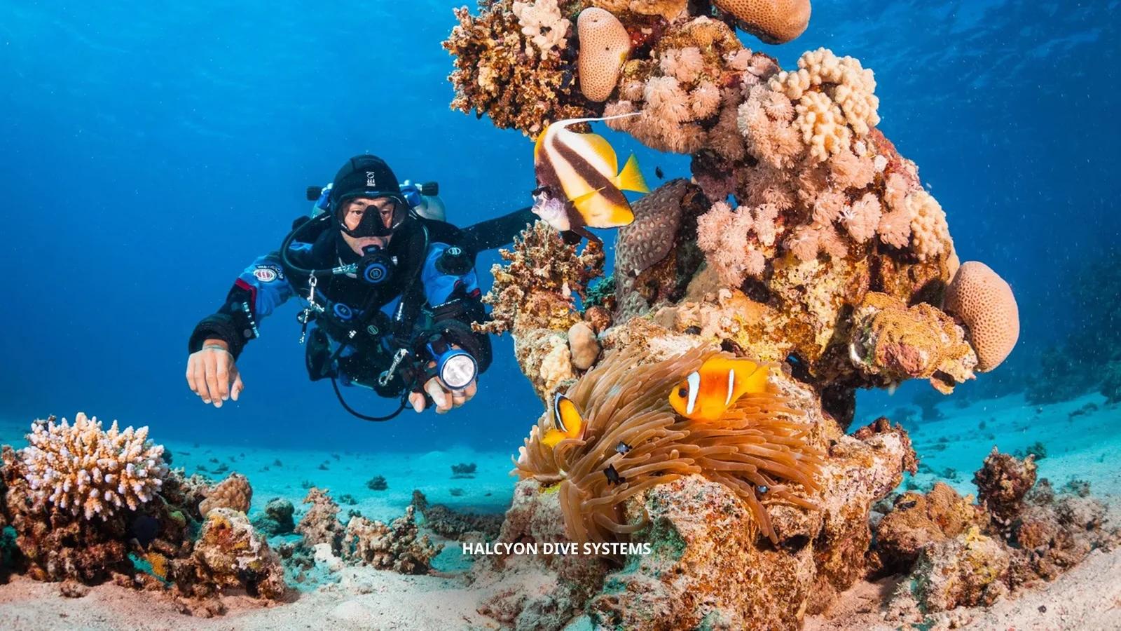 PADI Tec Basics Diver Course in Cozumel — scuba training in Cozumel, Mexico