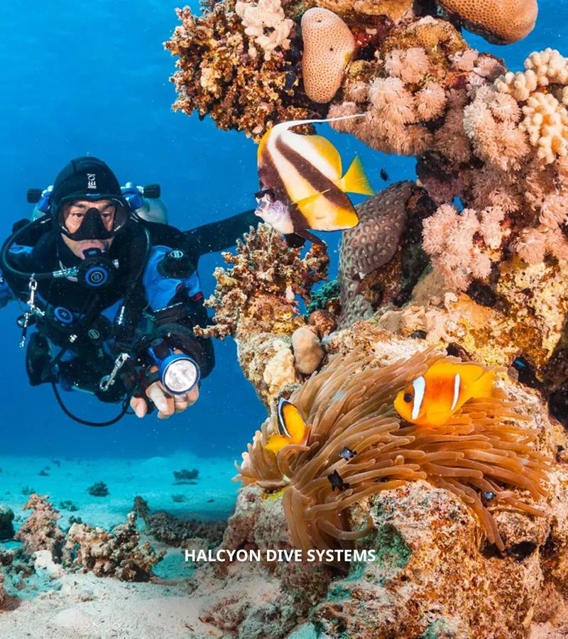 PADI Tec Basics Diver Course in Cozumel