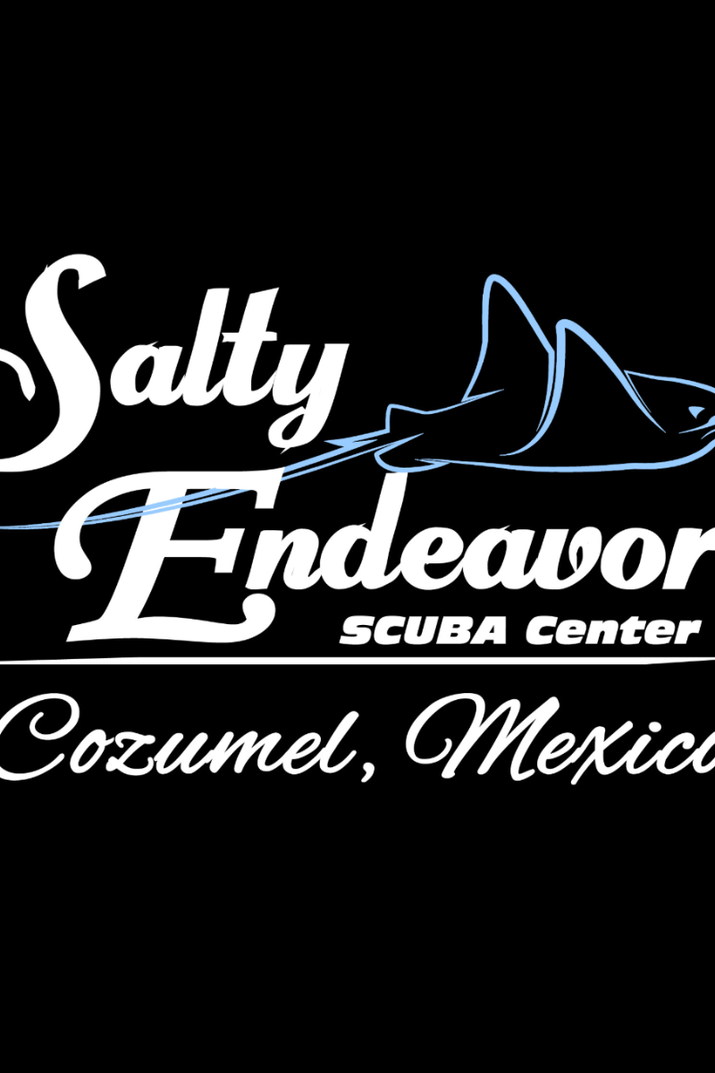 Salty Endeavors Cozumel