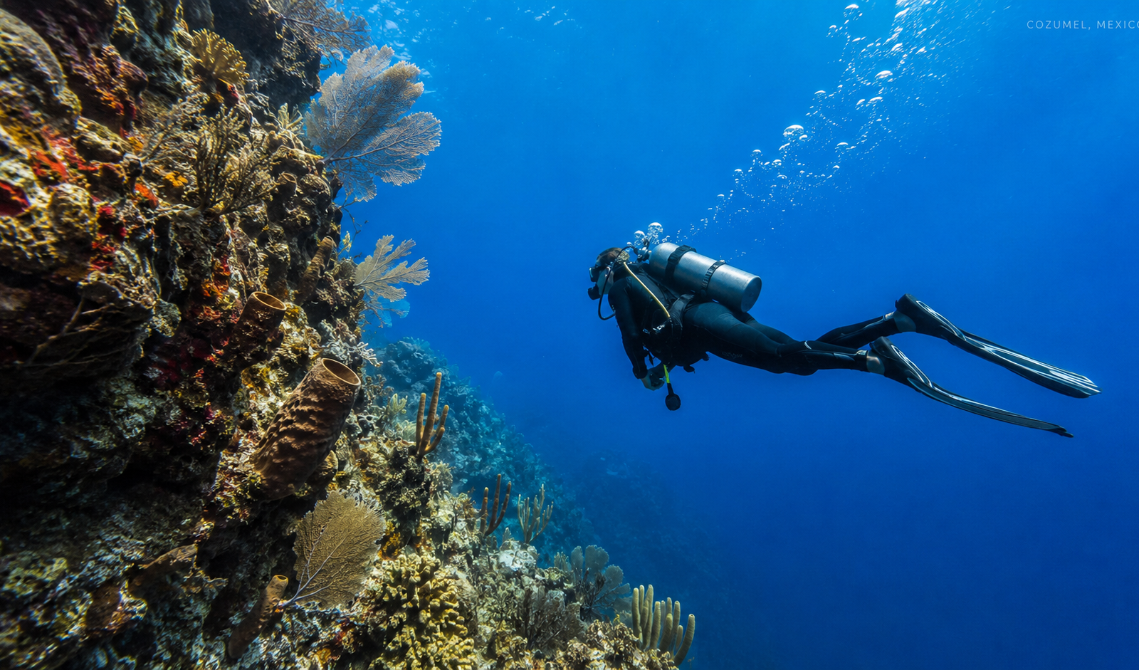 Scuba diver drift diving over a colorful Cozumel reef