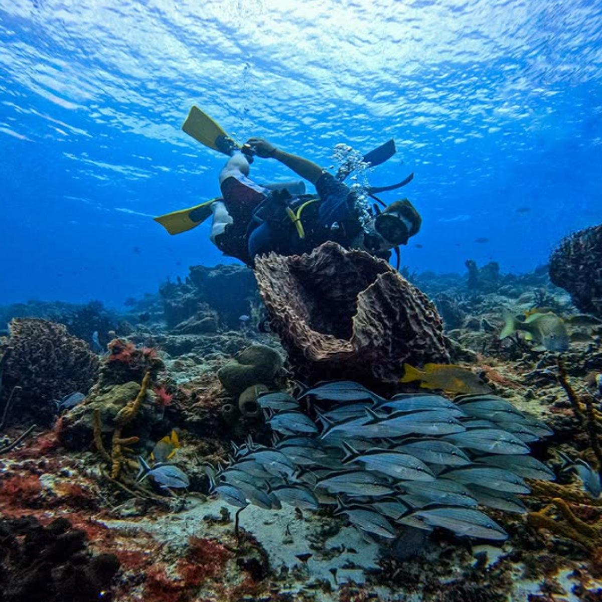 Scuba Du Cozumel: The Complete Guide — Cozumel, Mexico