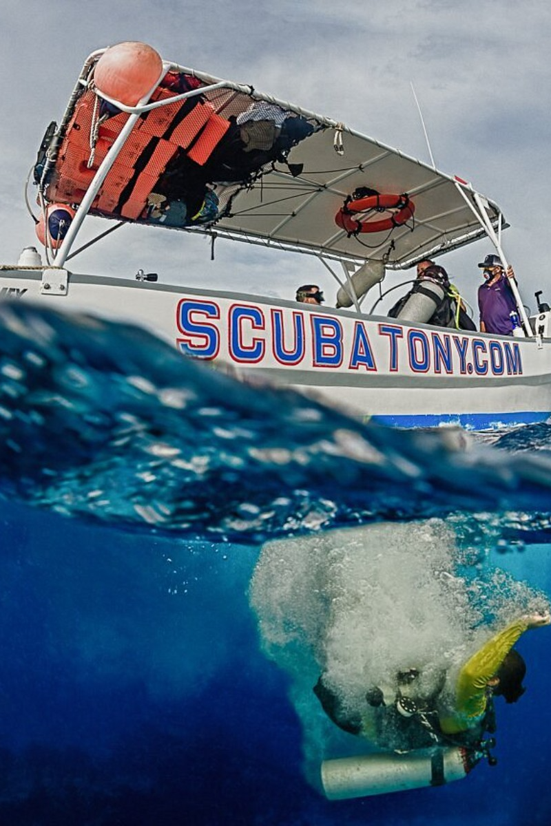 ScubaTony Cozumel