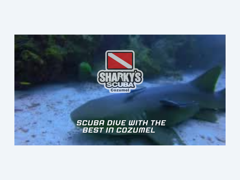 Sharky's Scuba Cozumel