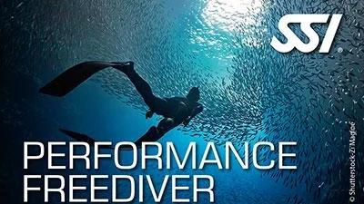 SSI Freediver Course in Cozumel