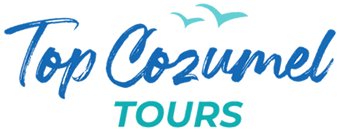 Top Cozumel Tours