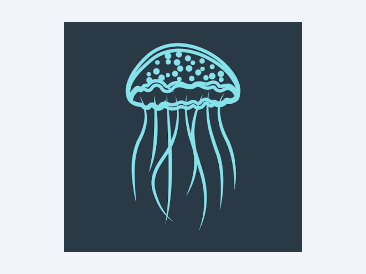 Medusas Dive Cozumel