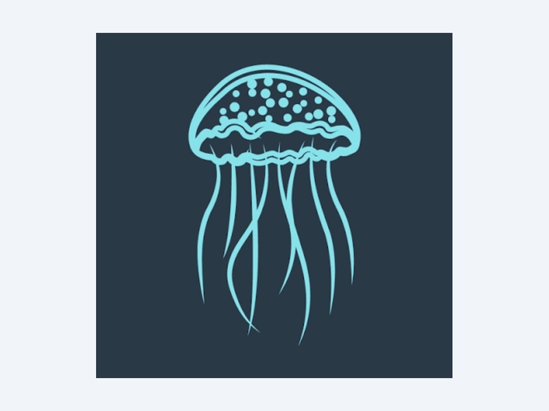 Medusas Dive Cozumel
