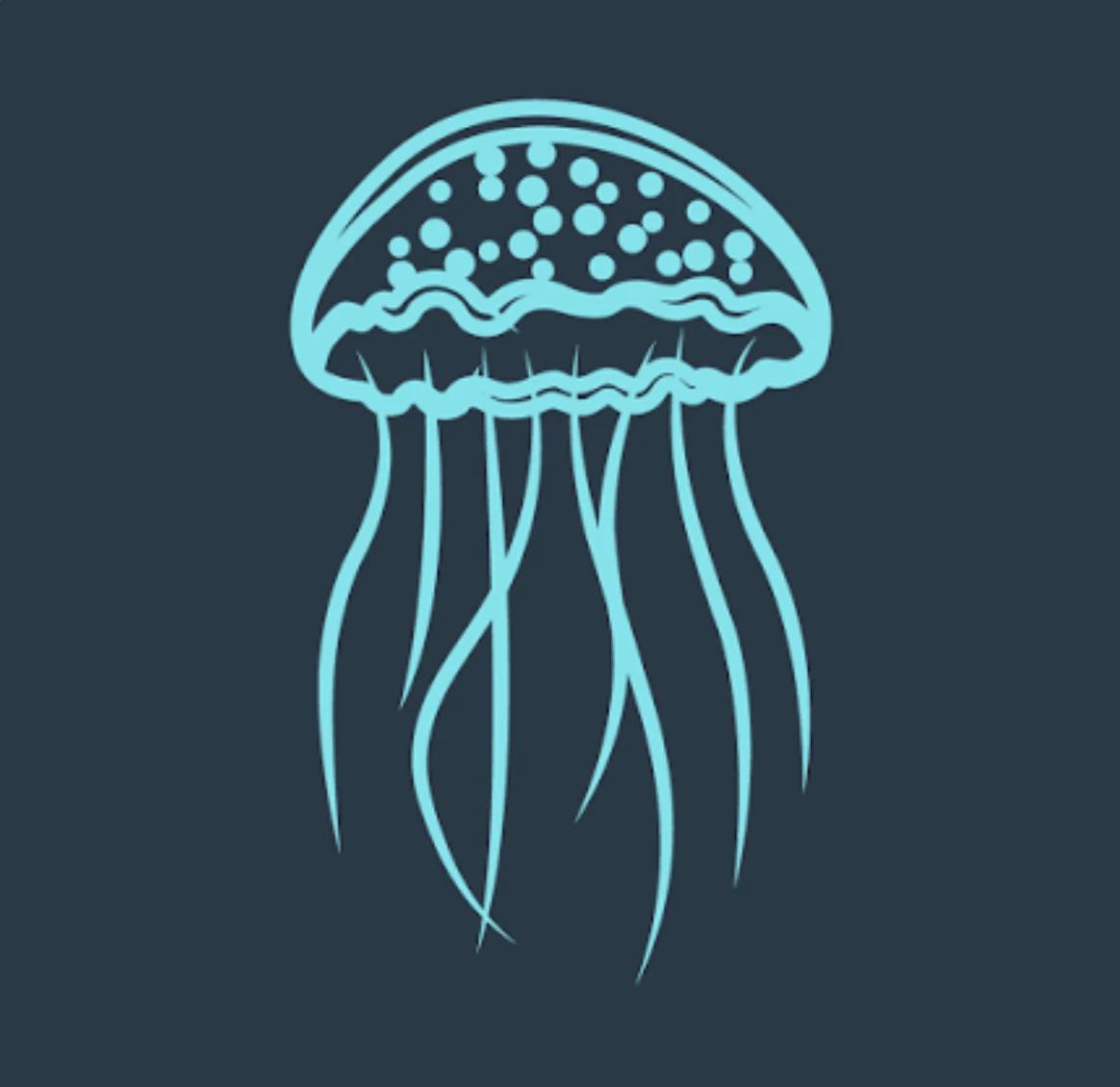 Medusas Dive Cozumel logo — dive center in Cozumel, Mexico