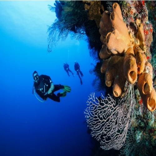 Villa Blanca Wall Dive Site – Cozumel dive site in Cozumel, Mexico — underwater reef photo — gallery photo